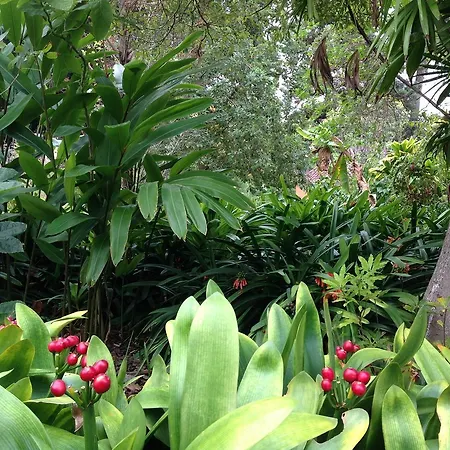 Casa Anchieta * La Orotava