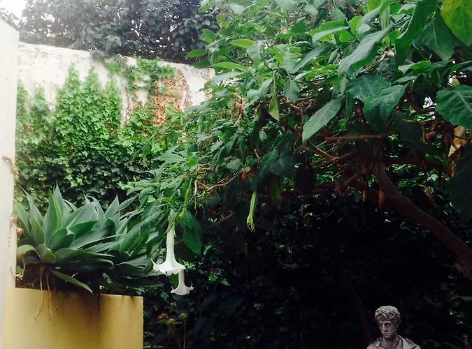 Casa Anchieta